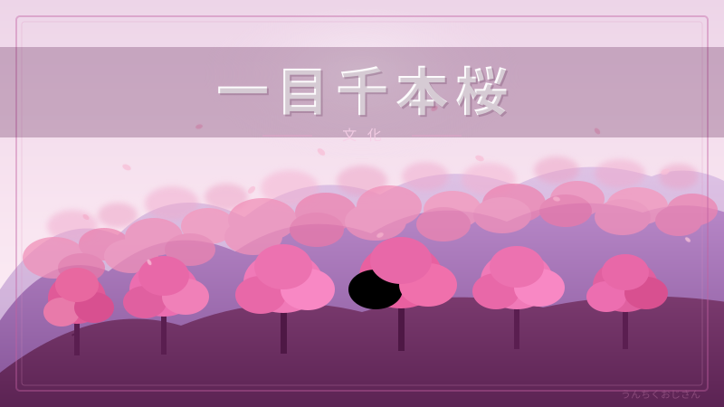 一目千本桜、おじさんが本気で語ってやろう！