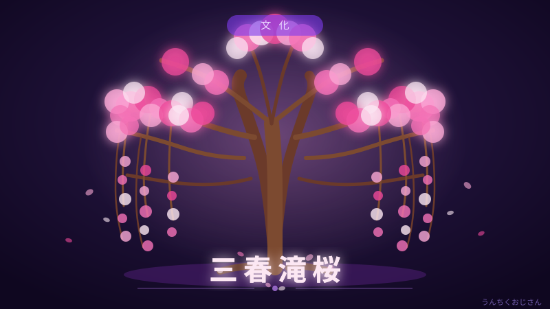 三春滝桜の底力、おじさんが全部教えてやろう