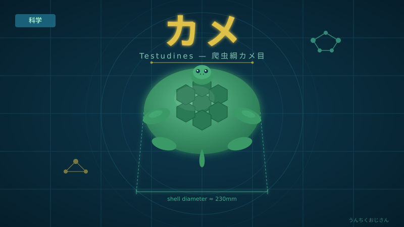 カメの大量死事件、おじさんが真相を教えてやろう