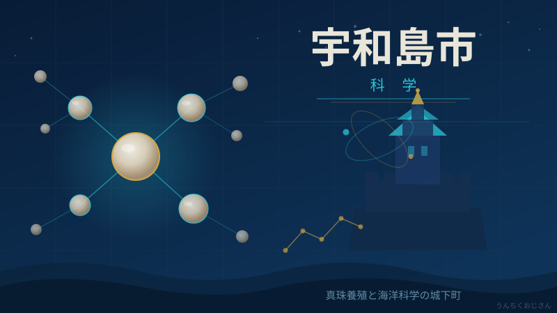 宇和海にクジラが現れたぞ！おじさんが海の巨人を解説しよう