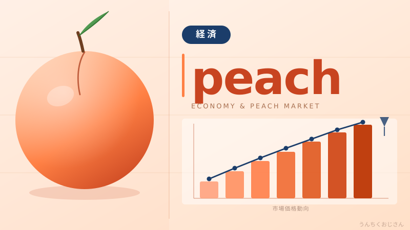 まあ聞いてくれよ！PeachがLCC界を変えようとしてる話