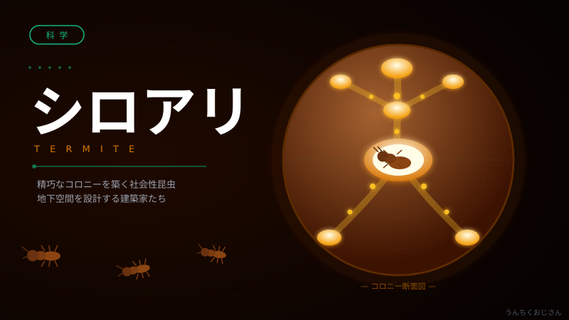 60億匹のシロアリがパトカーを包囲！おじさんが徹底解説してやろう
